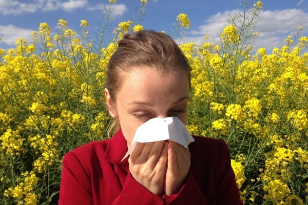 Na Suíça, pesquisadores desenvolvem novo teste de alergia indolor e confiável